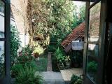 Achtertuin
